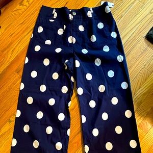 Anthropologie Maeve the Colette high waisted wide leg pants size 32 tall